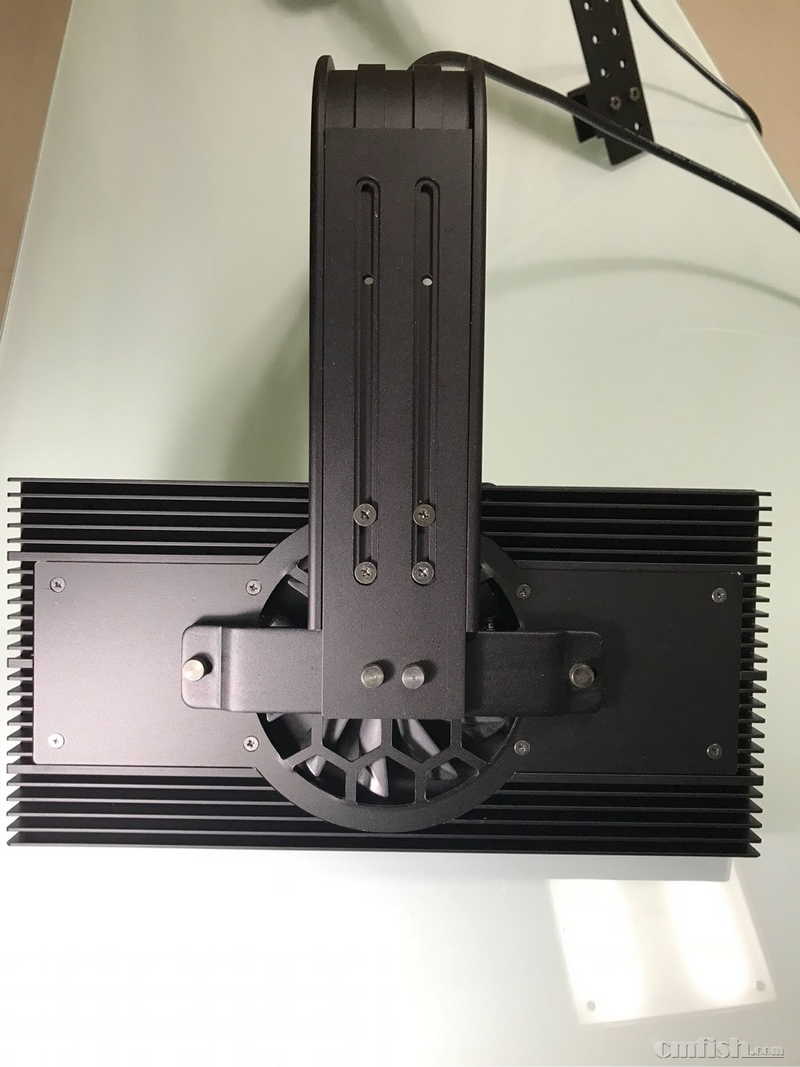 diy xr珊瑚灯 ai珊瑚灯 正式开卖了