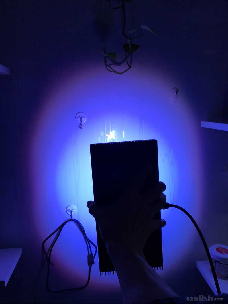 diy xr珊瑚灯 ai珊瑚灯 正式开卖了