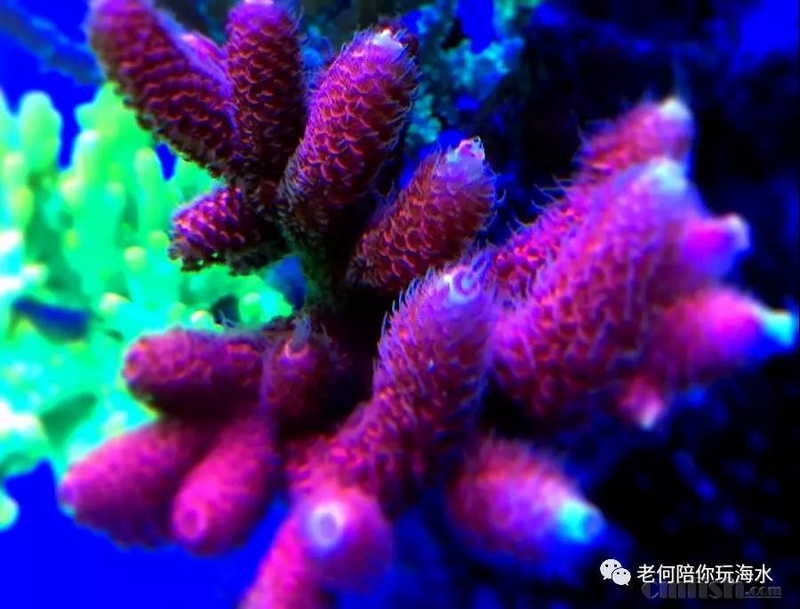 ΢��ͼƬ_20180525171540.jpg