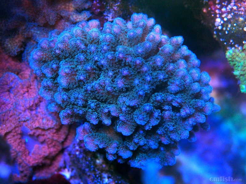 P5270537_����.jpg