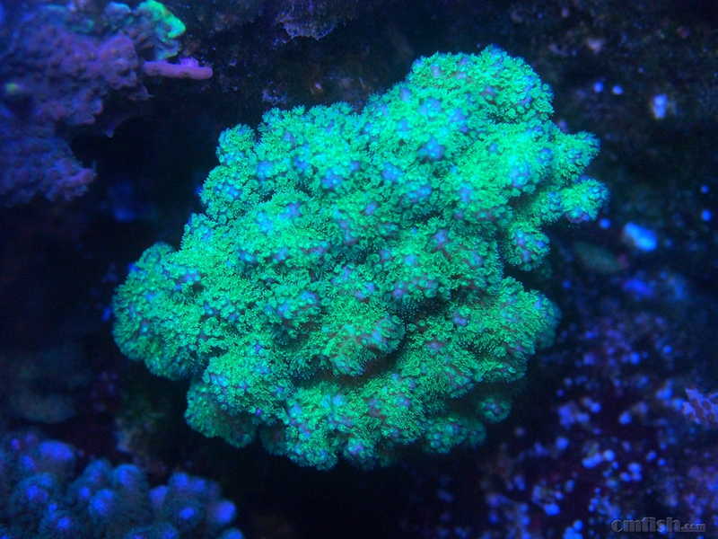 P5270538_����.jpg