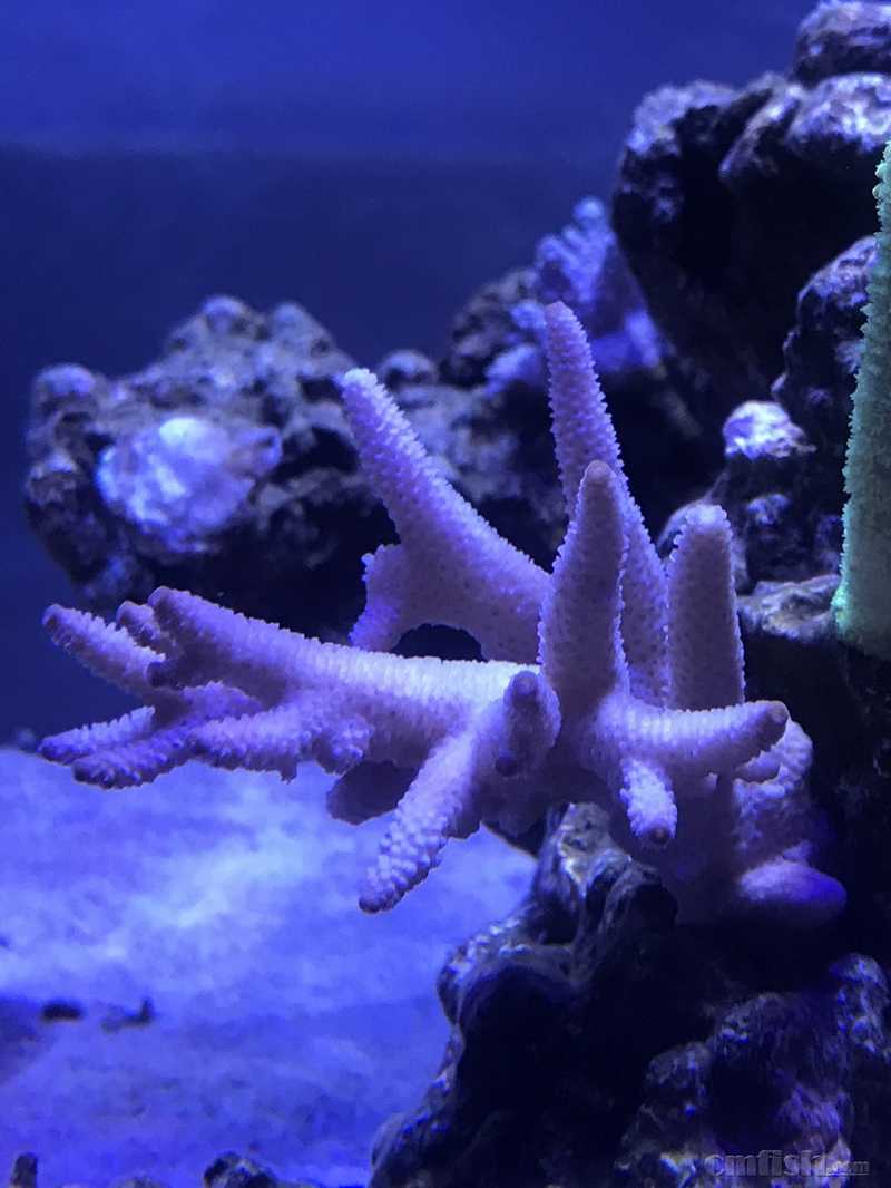 webwxgetmsgimg (21).jpg