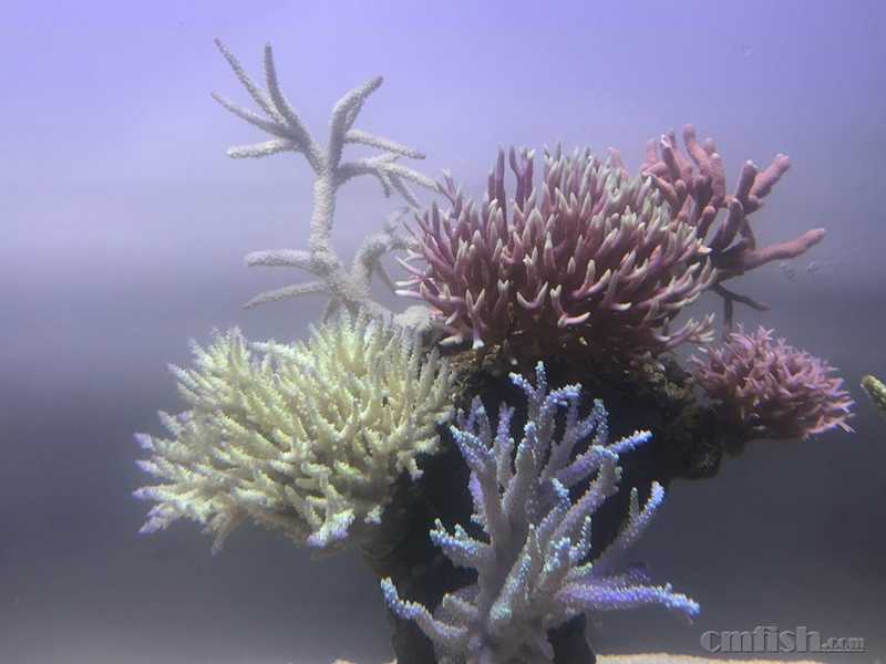 webwxgetmsgimg (15).jpg