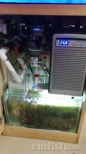 wx_camera_1524670337243.jpg