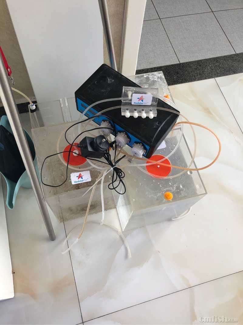 常营出滴定,分析纯,缸