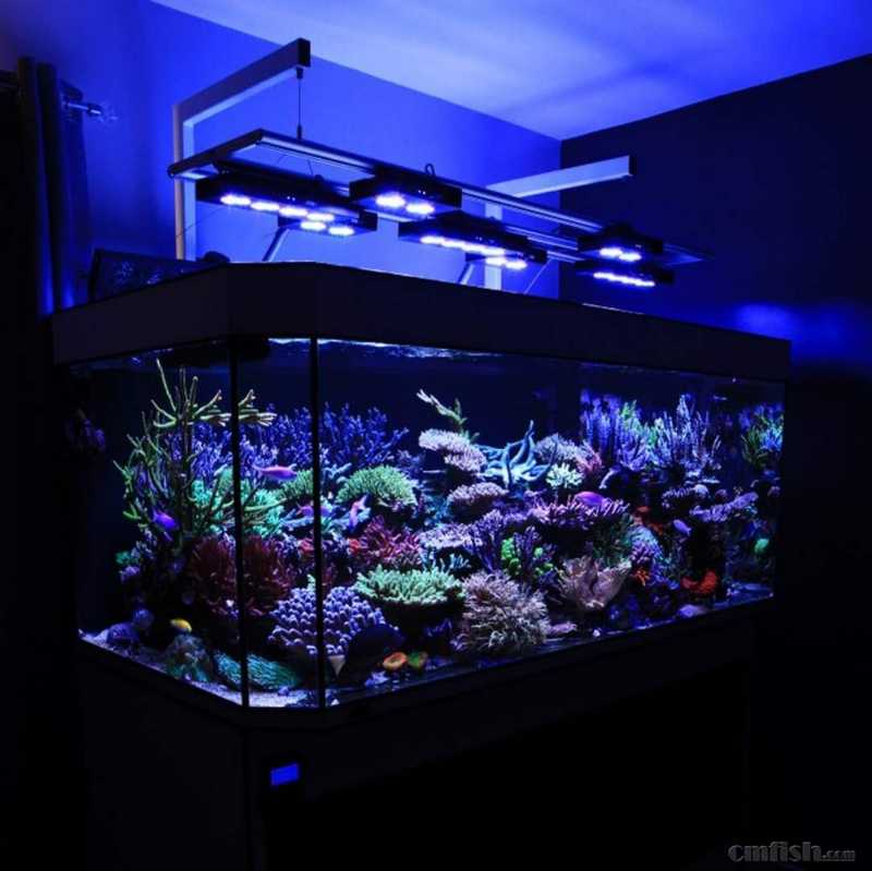 222.jpg