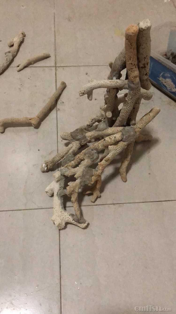 全珊瑚骨造景好处多多多------完爆活石,死石,某造景石.