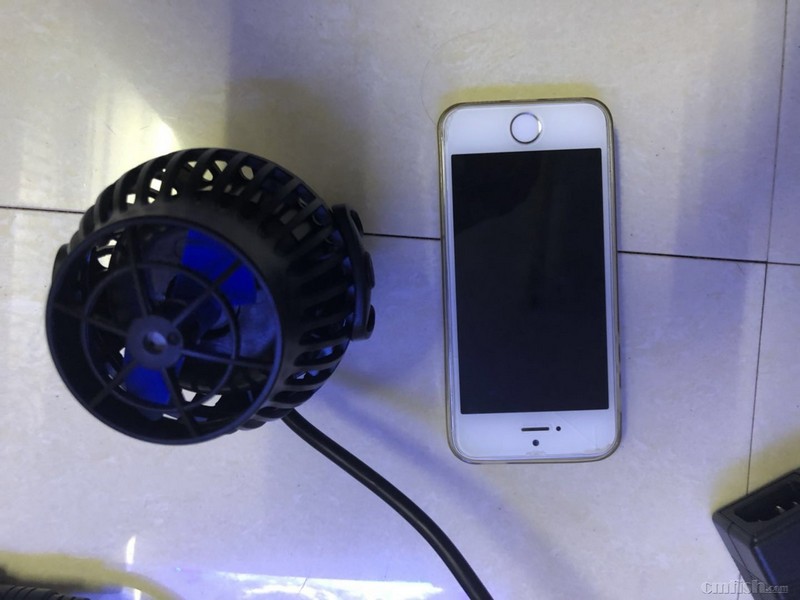 ��ɫ��ҶƬ�����ܱ���ԭ����ɫ���������