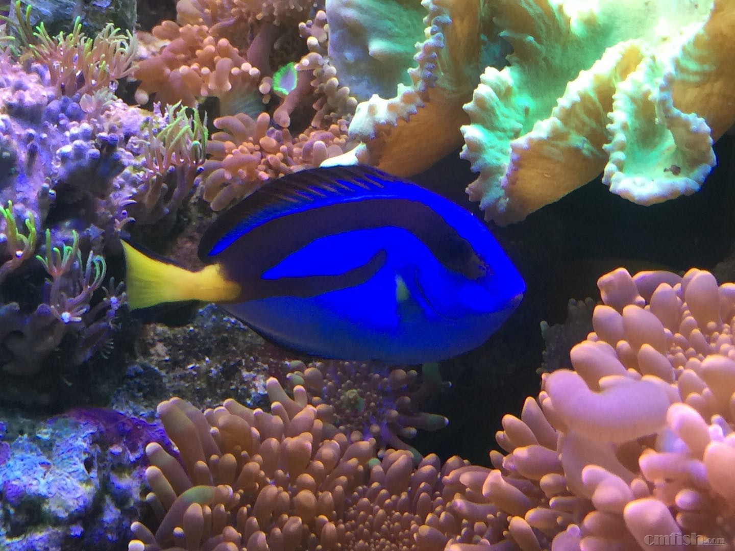 ΢��ͼƬ_20180721141233.jpg