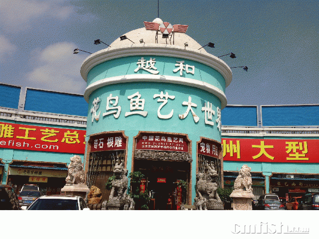 ͼ��IMG_7197.GIF