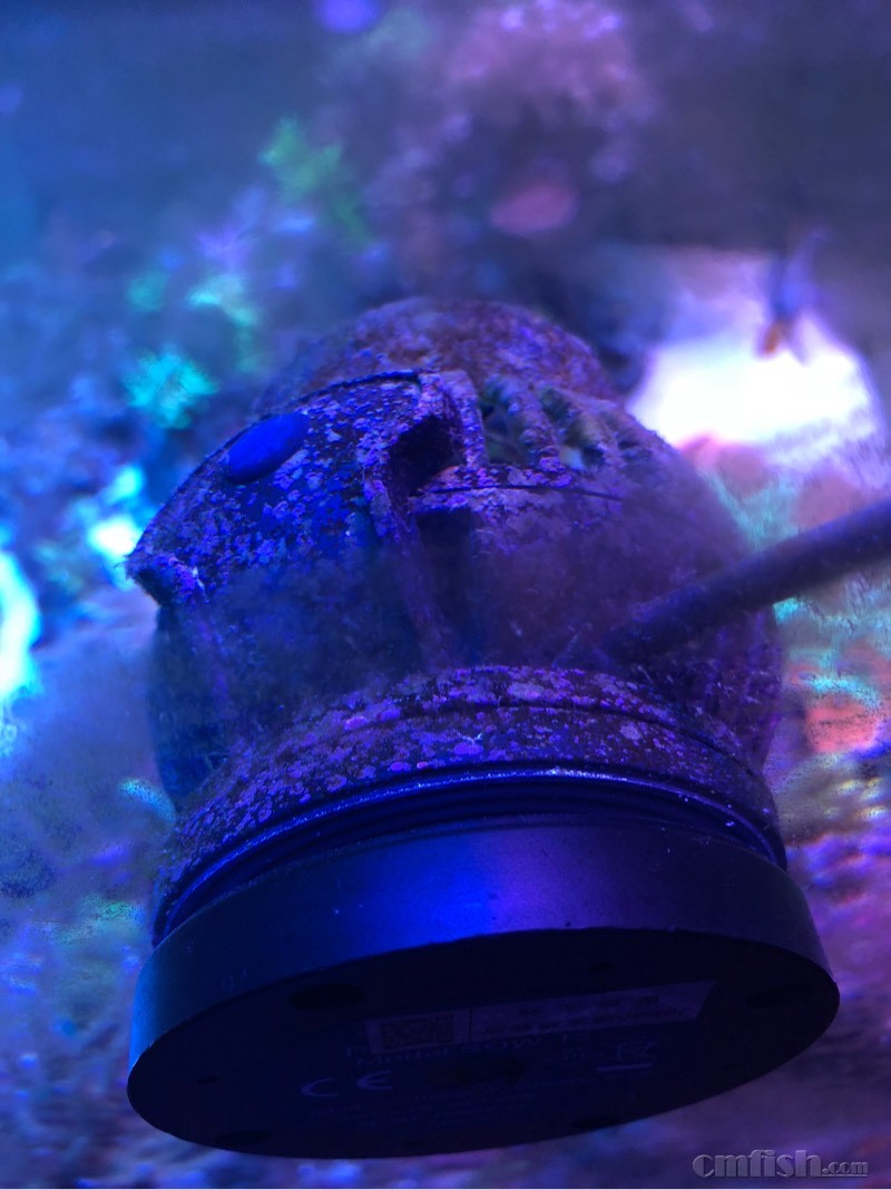 全球首测—捷宝新款正弦静音造浪球sow-15