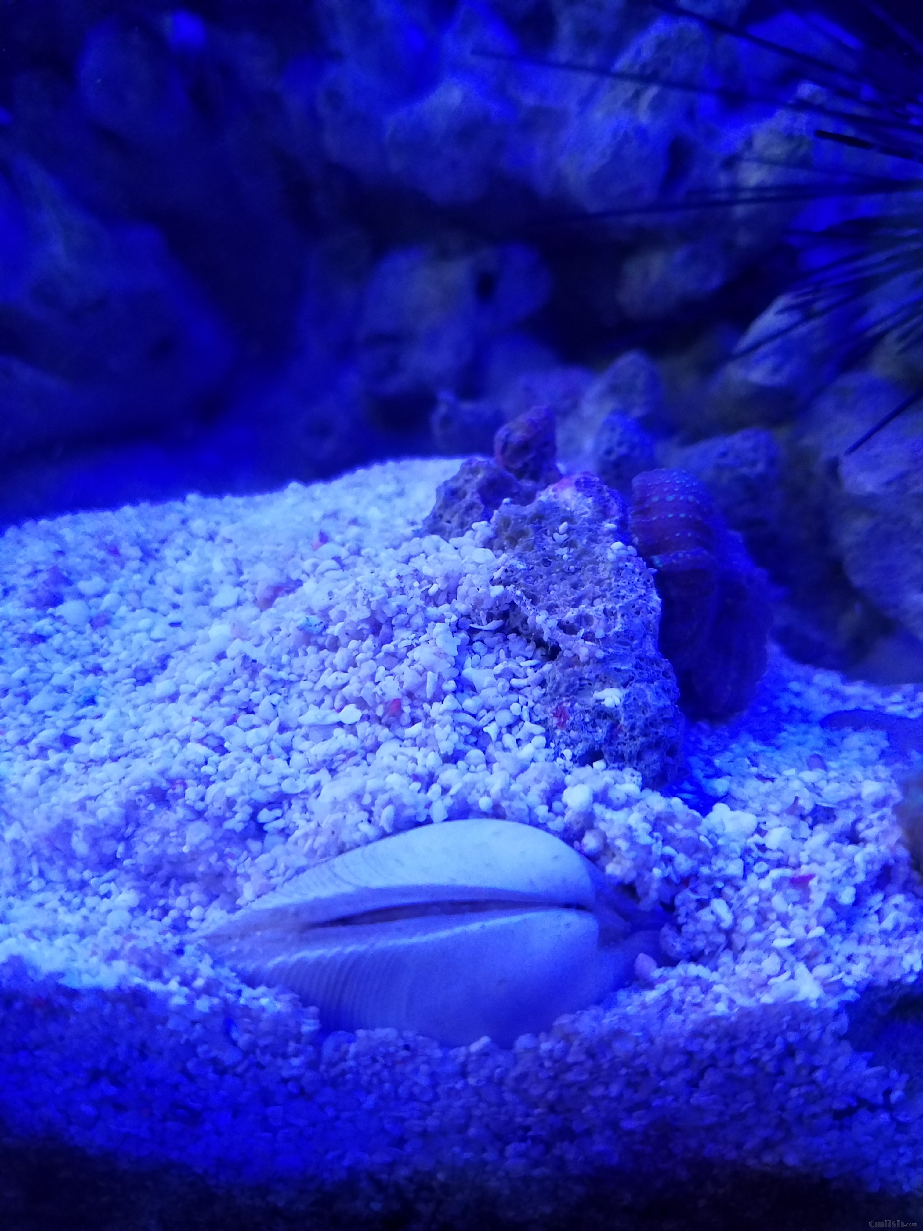 20180802_154614.jpg