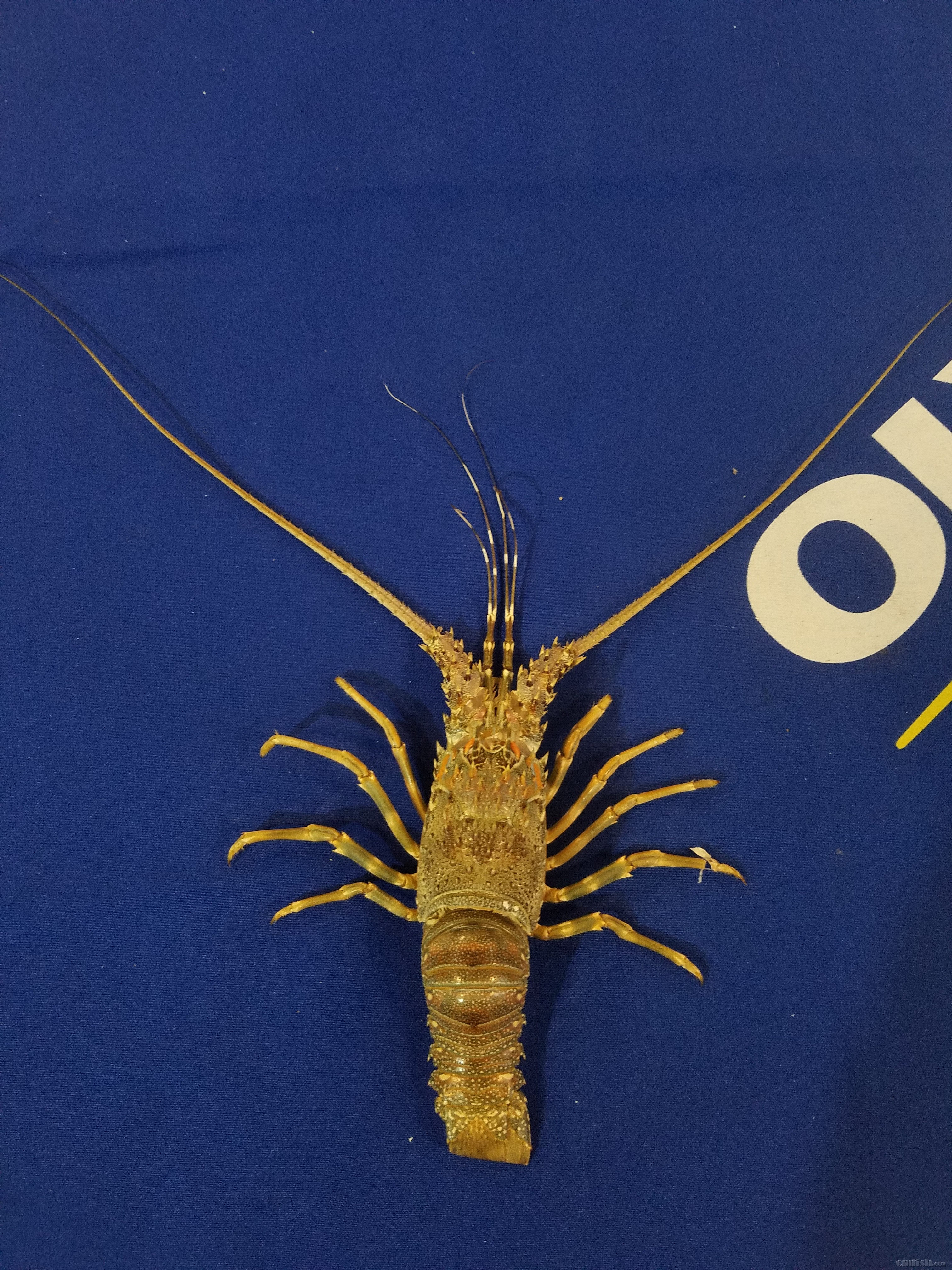 20180612_164028.jpg