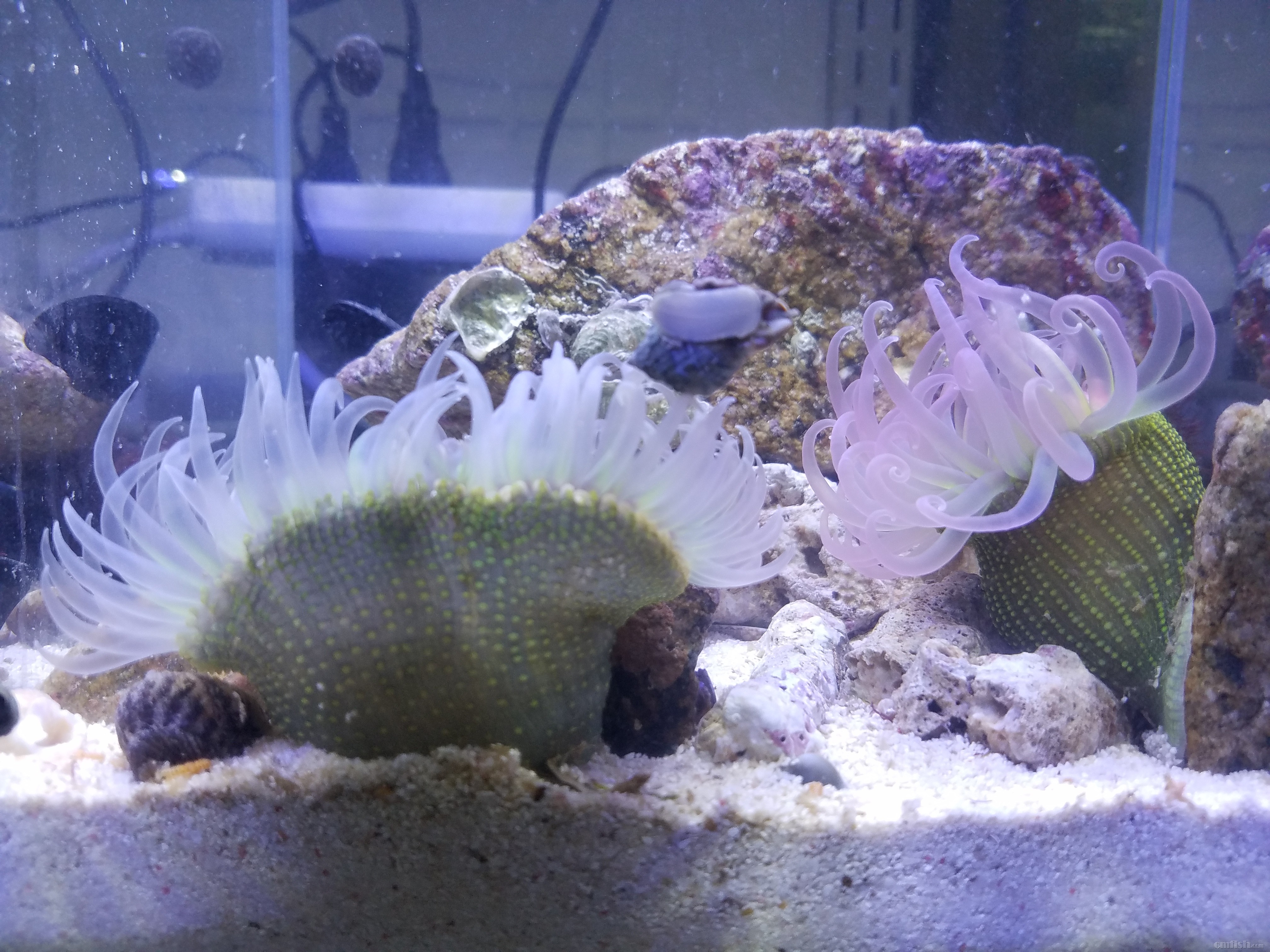 20180706_182731.jpg