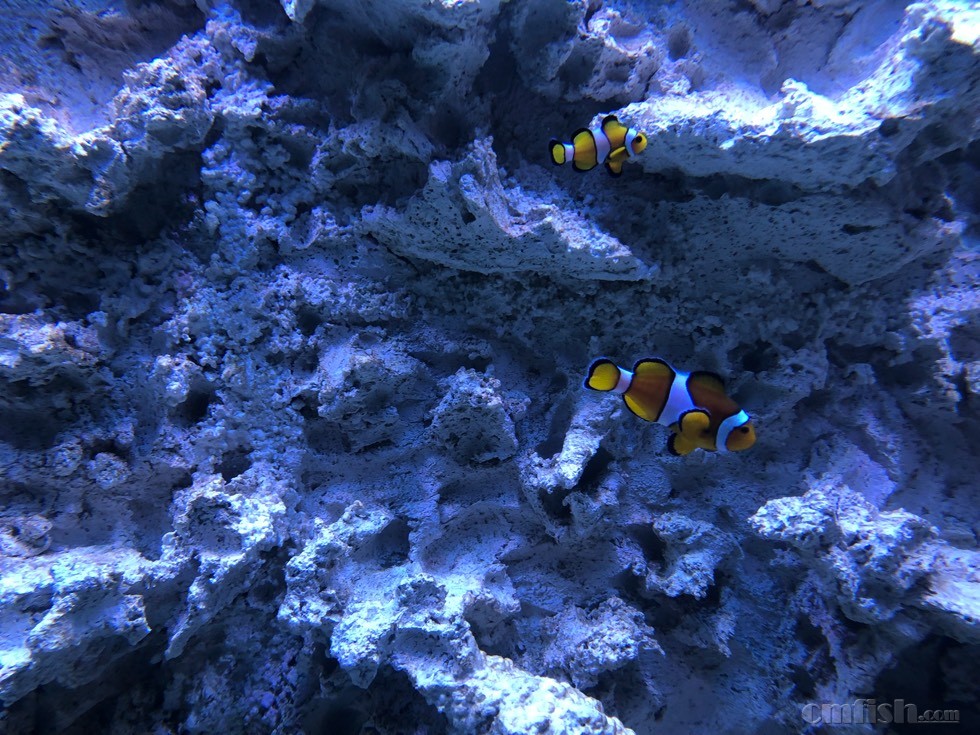 092640x80jpf1d0fjlj8hp.jpg