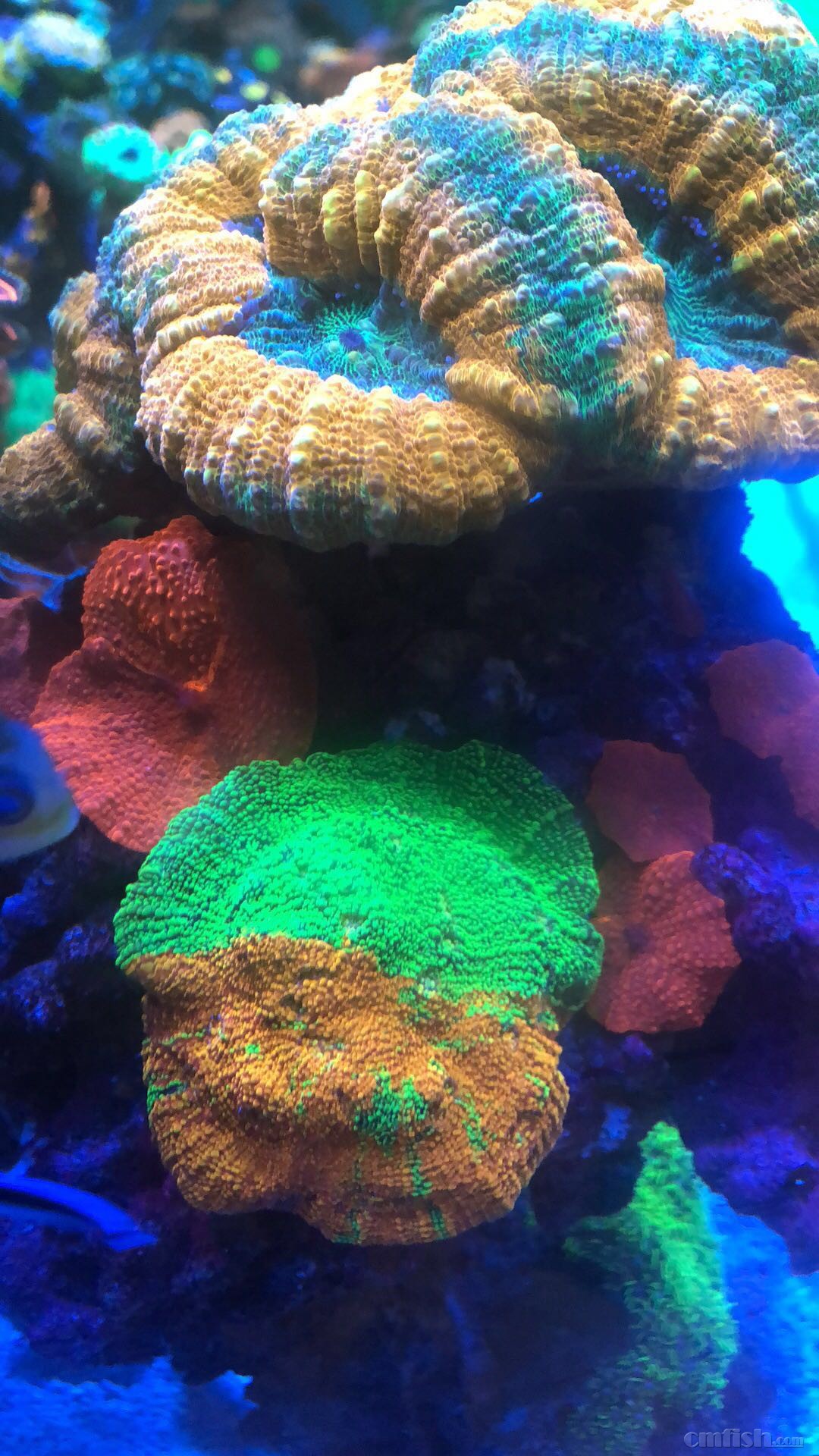΢��ͼƬ_20180811213728.jpg