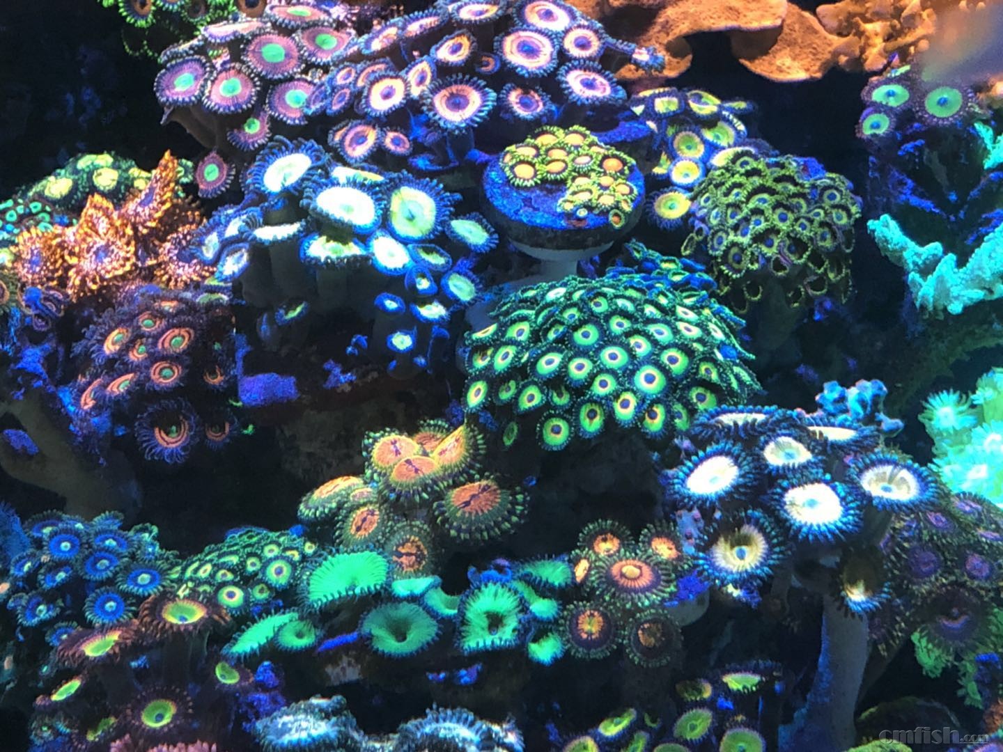 ΢��ͼƬ_20180811213714.jpg