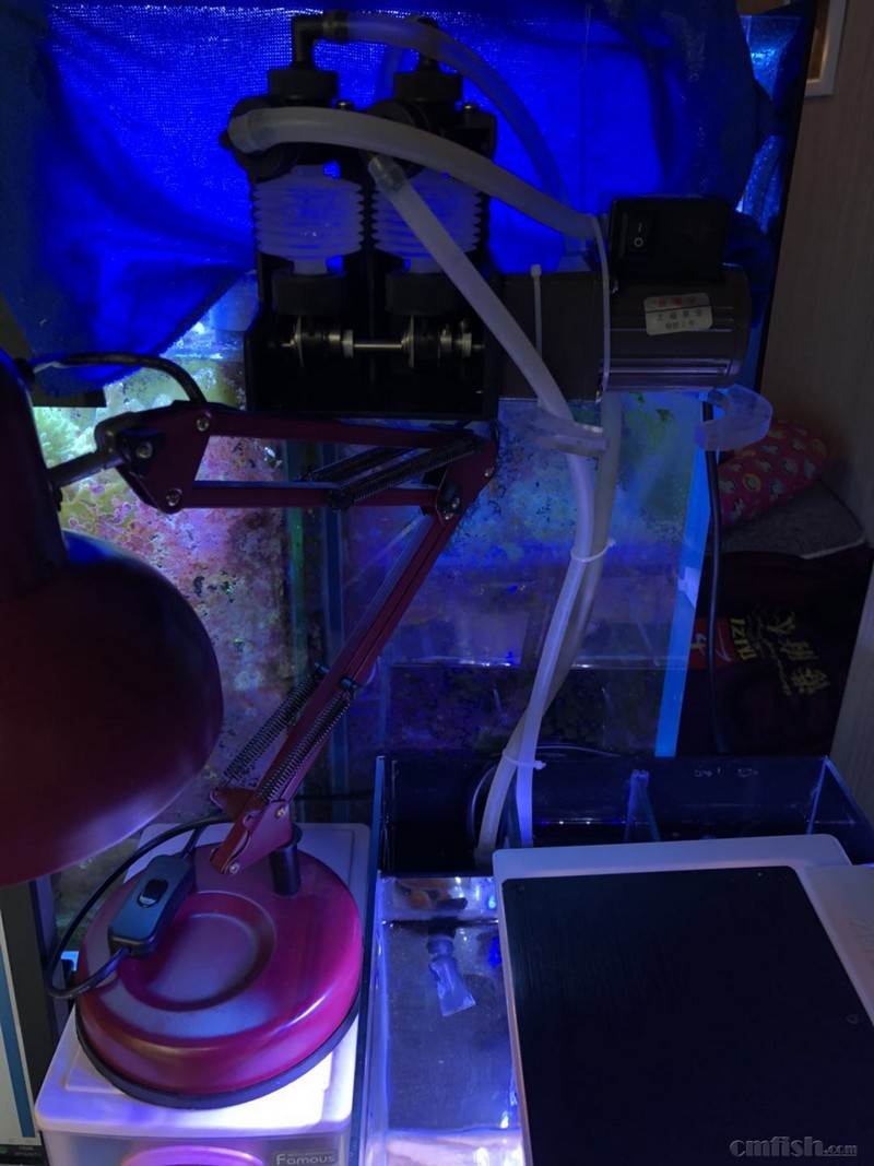 ΢��ͼƬ_20180813191122.jpg