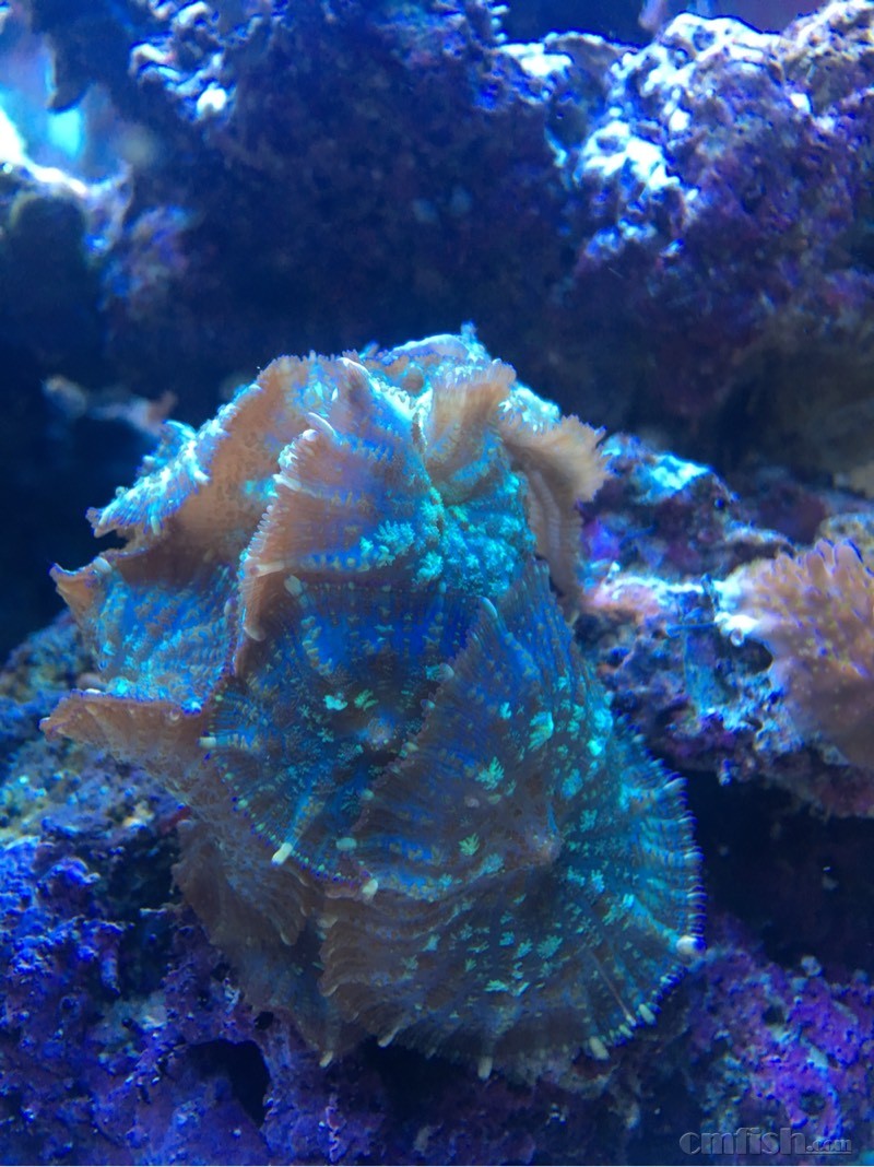 100702u35jefjjp0xm2v8k.jpg