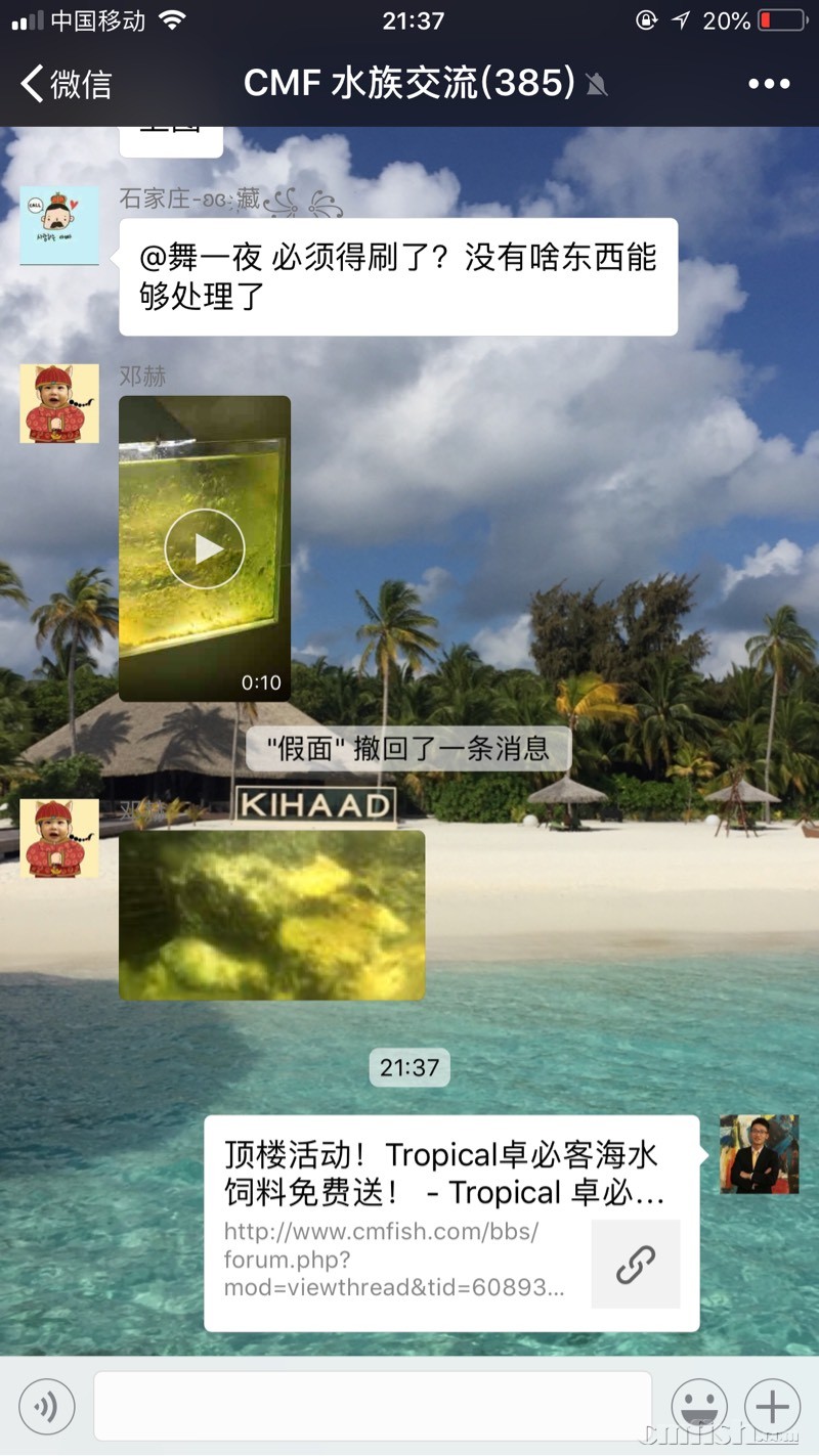 091247mu3foozk2352zu2r.jpg
