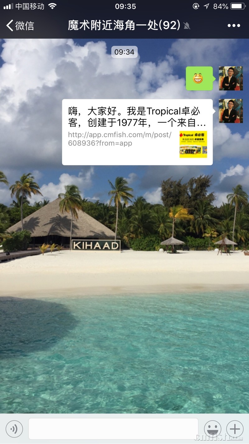 093416p3d3llsazkgpgkpv.jpg