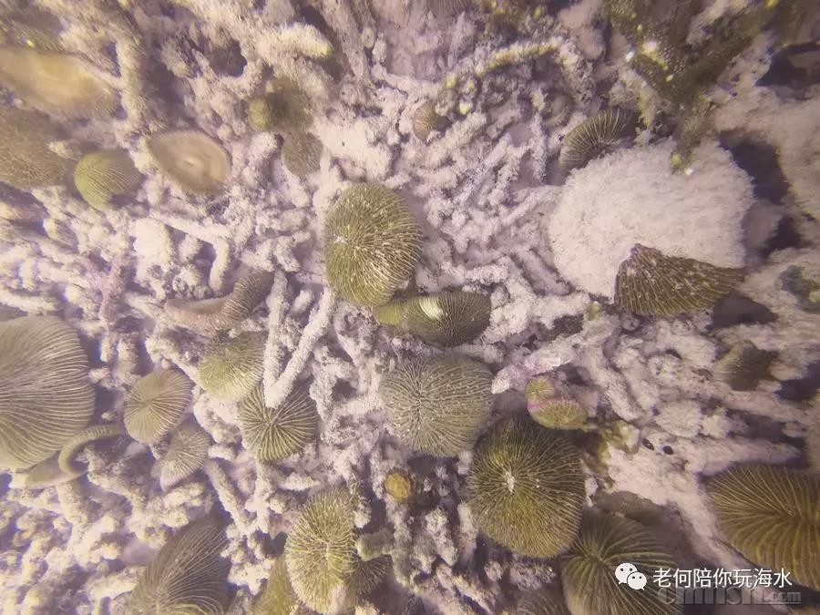 ΢��ͼƬ_20180823124344.jpg