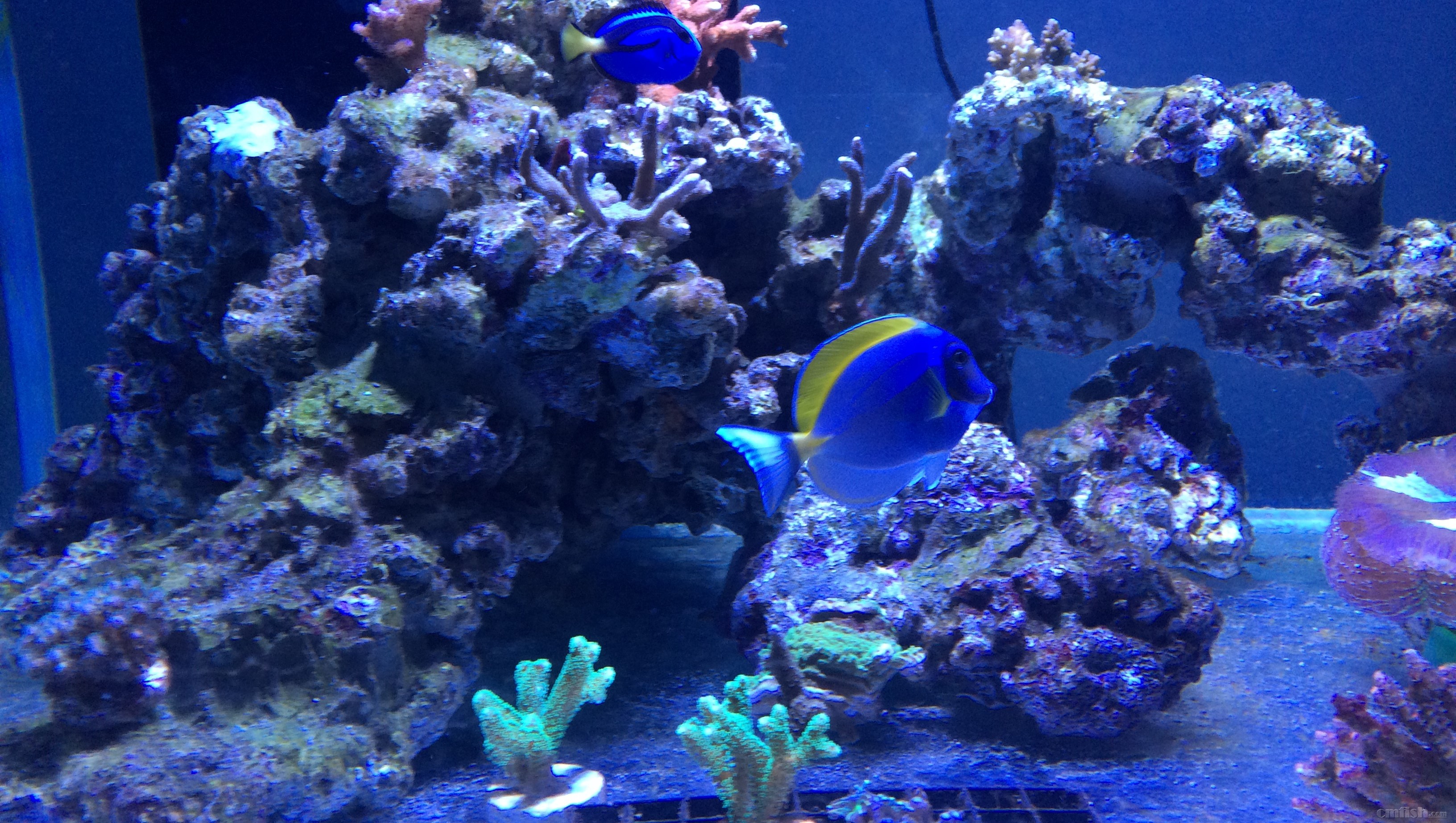 2018-06-08 225112.jpg