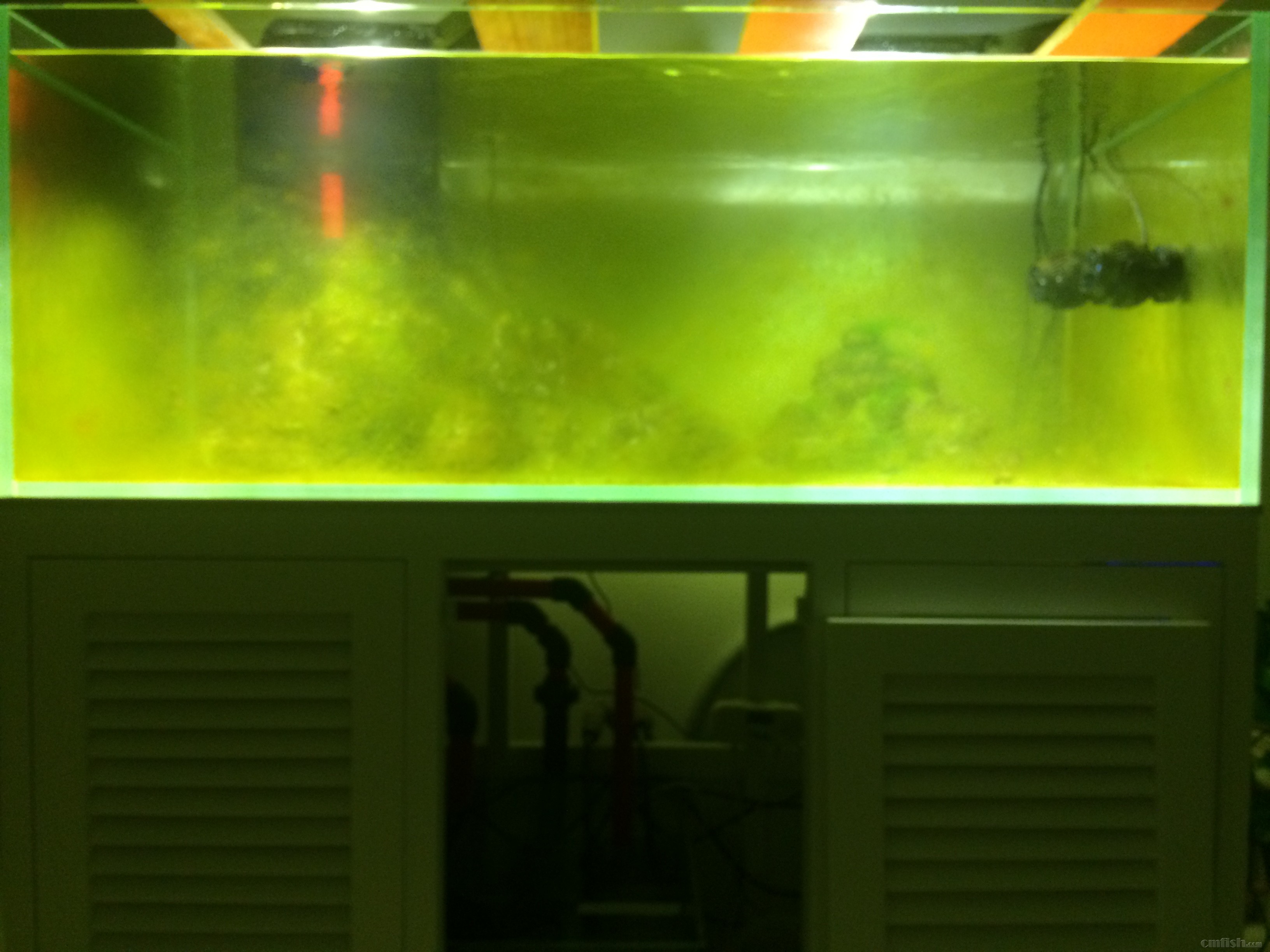 2018-05-24 203010.jpg