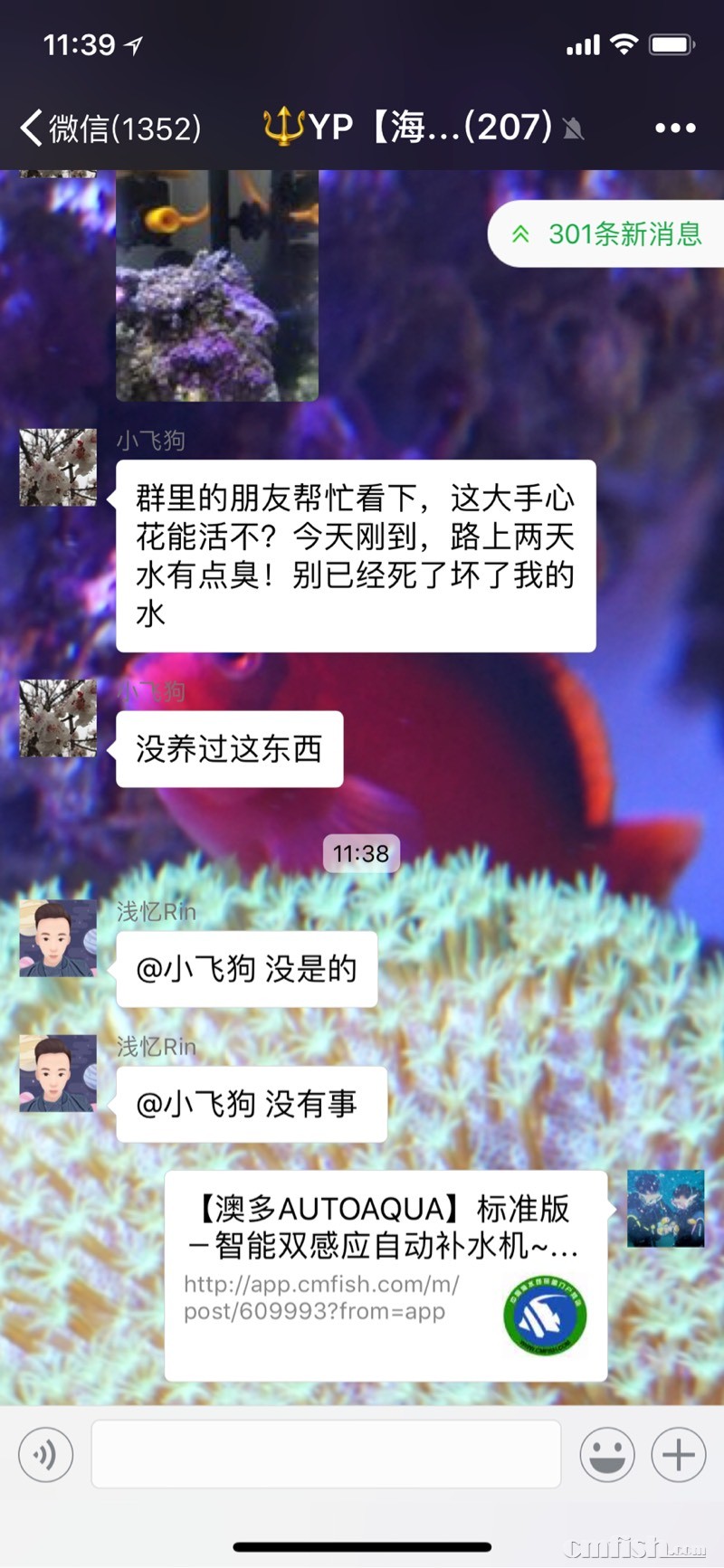 123441mum87xzn49vevllo.jpg