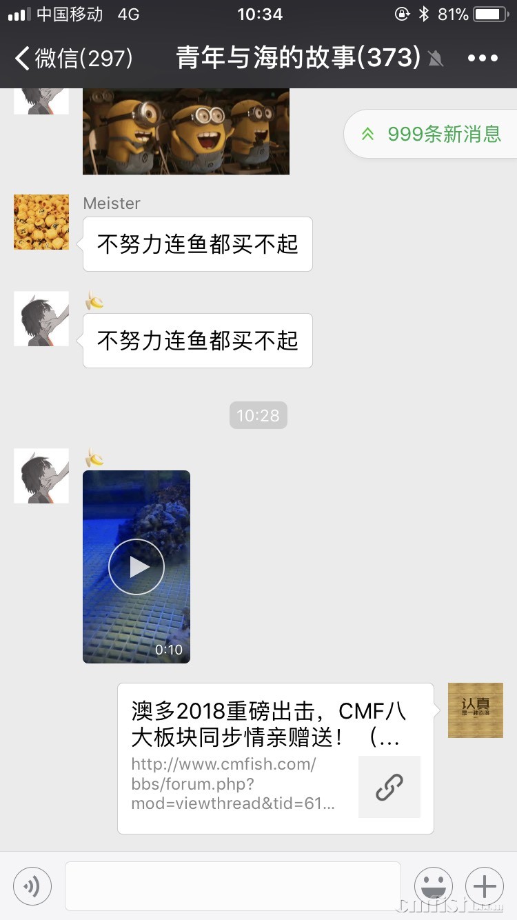 103319e1sth9f8hmxstm2f.jpg