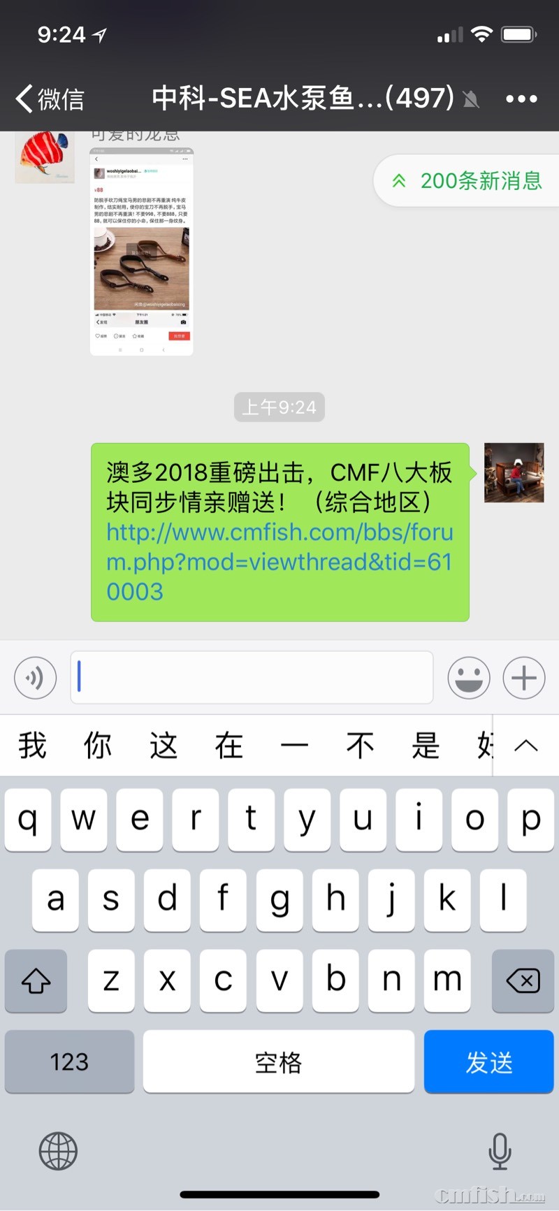 145725ydw0dnbkd1pvglkd.jpg