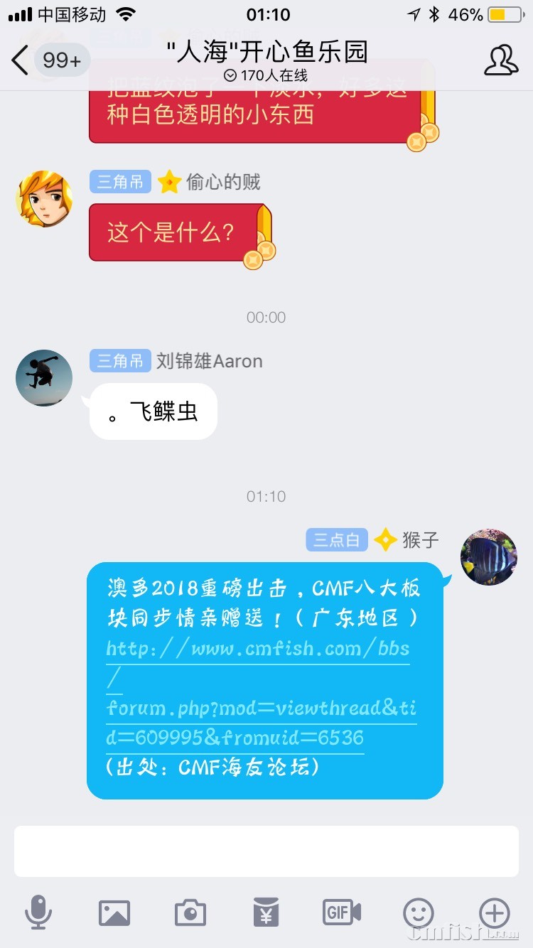 082738cd6vzrdiepvd37e4.jpg