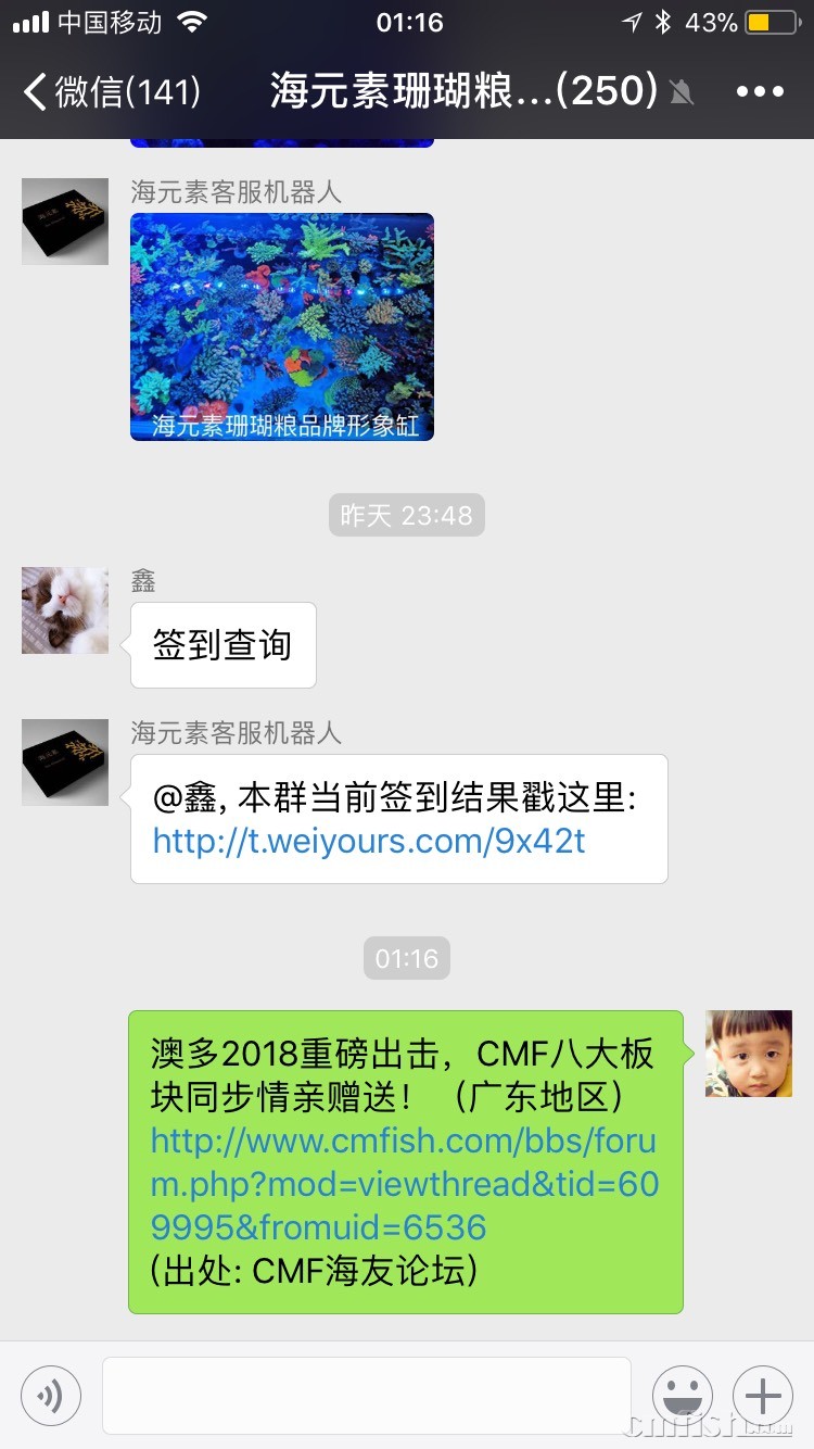 085907j1ttmqote5tn5ks5.jpg
