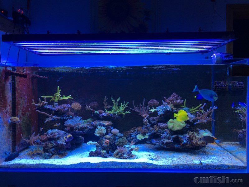 202011jai3uau3ffzk770l.jpg