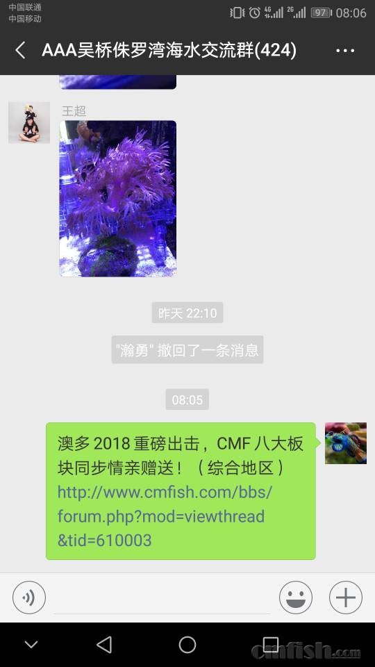 080912l79txnq24ccn7ot9.jpg
