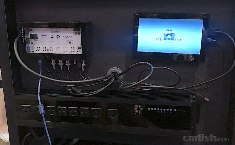 vertex-cerebra-2-controller-2.jpg