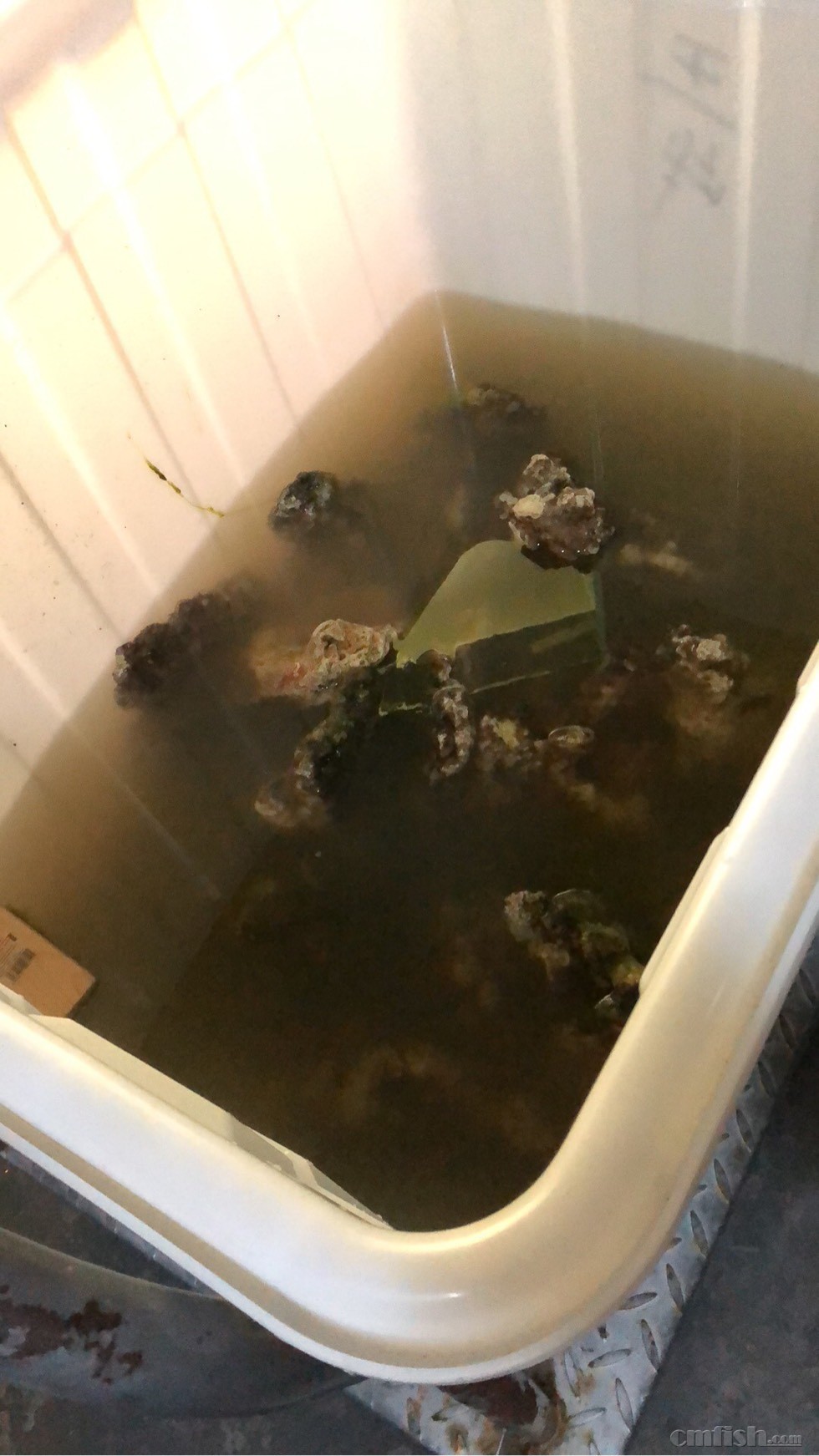 100451h45lbklxq2lrbjj8.jpg