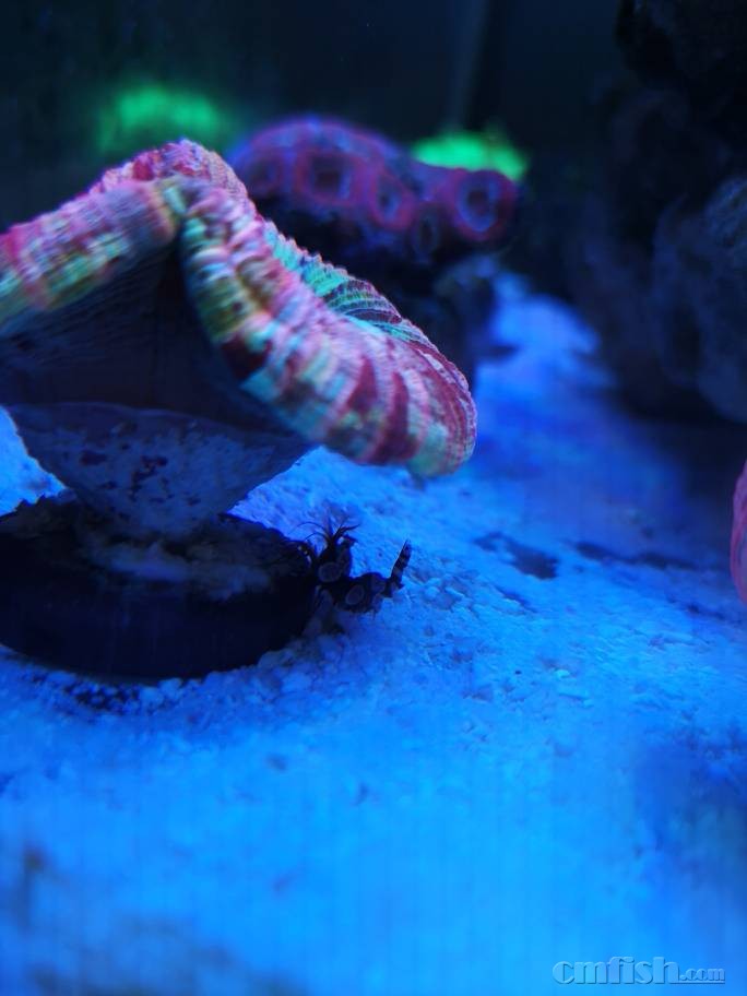 083136dkr39ssngf8n938w.jpg
