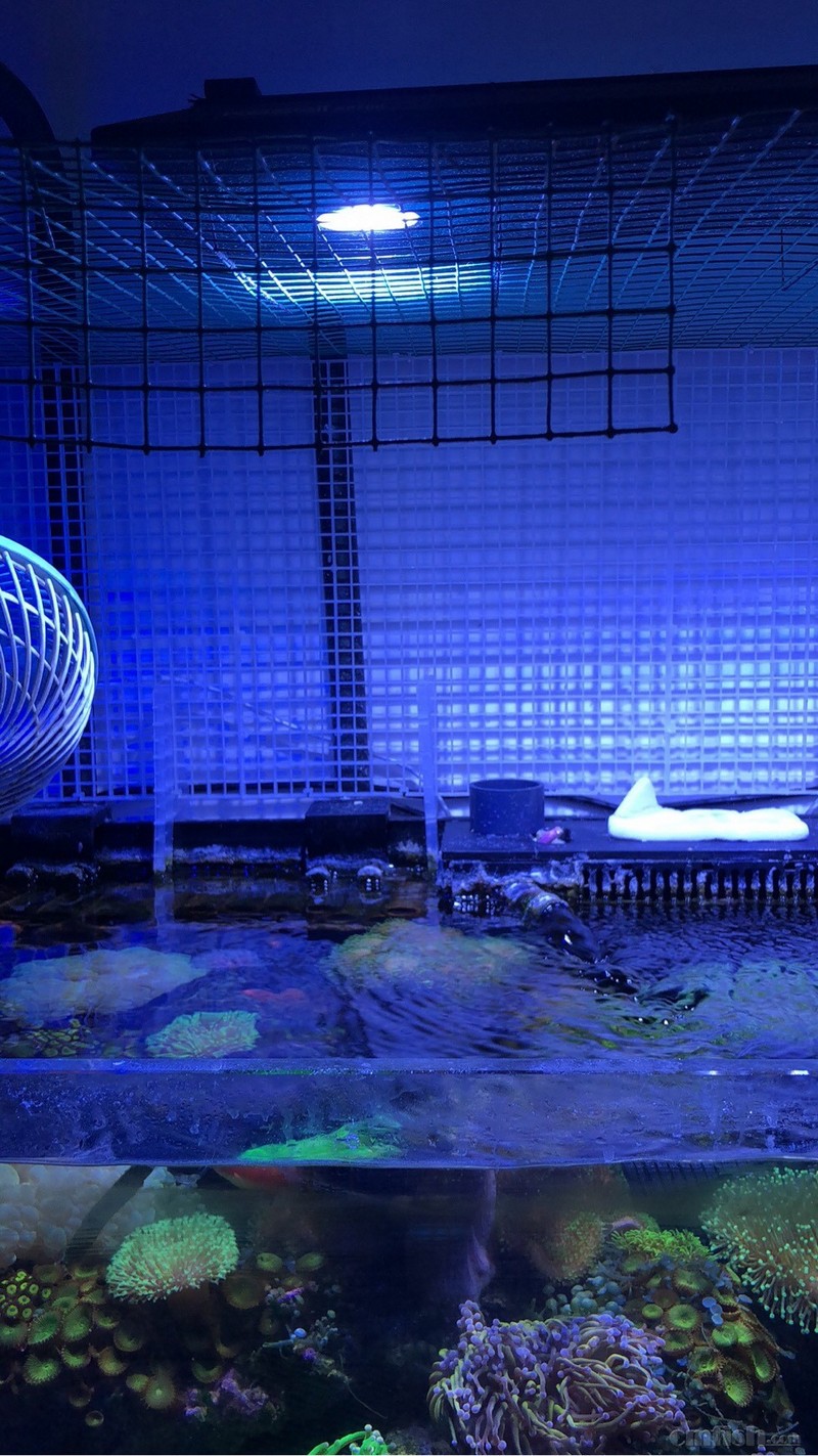 131725f1r13skvkhii1y1c.jpg
