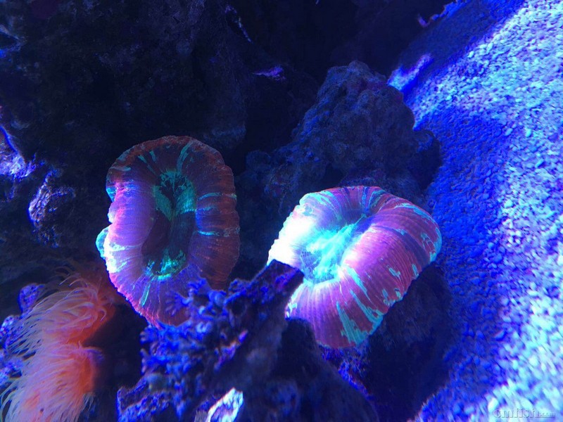 ΢��ͼƬ_20180919075314.jpg