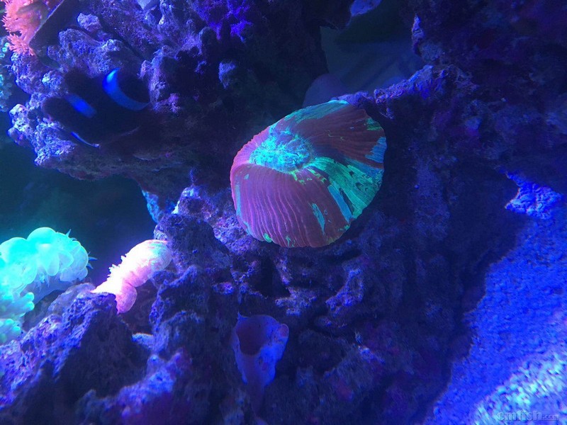 ΢��ͼƬ_20180919075322.jpg