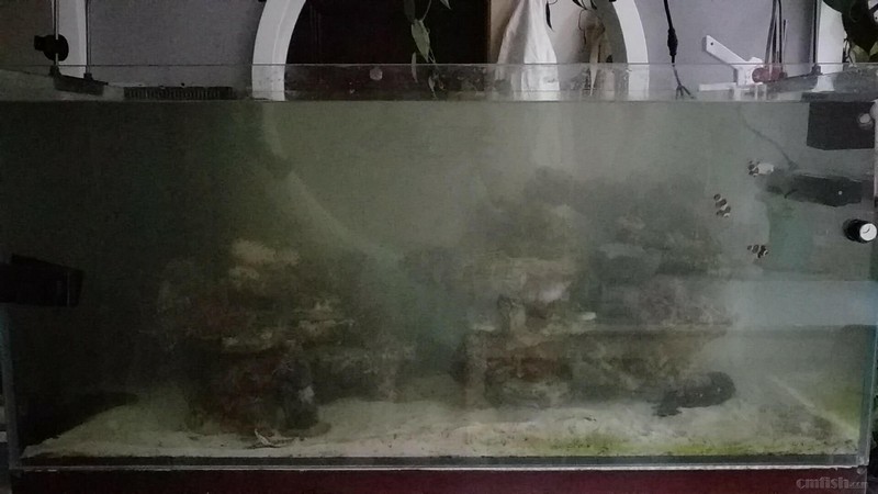 ΢��ͼƬ_20180919111921.jpg