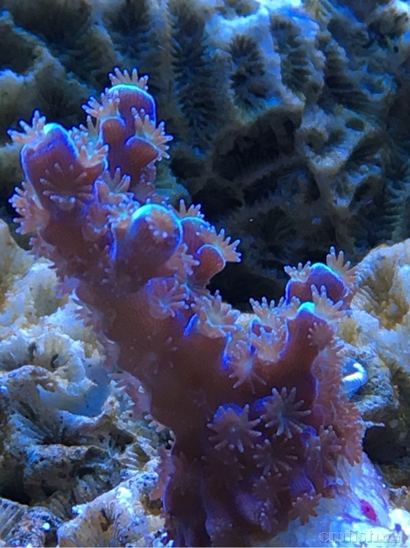 185746jymnfw77d4a6y77y.jpg