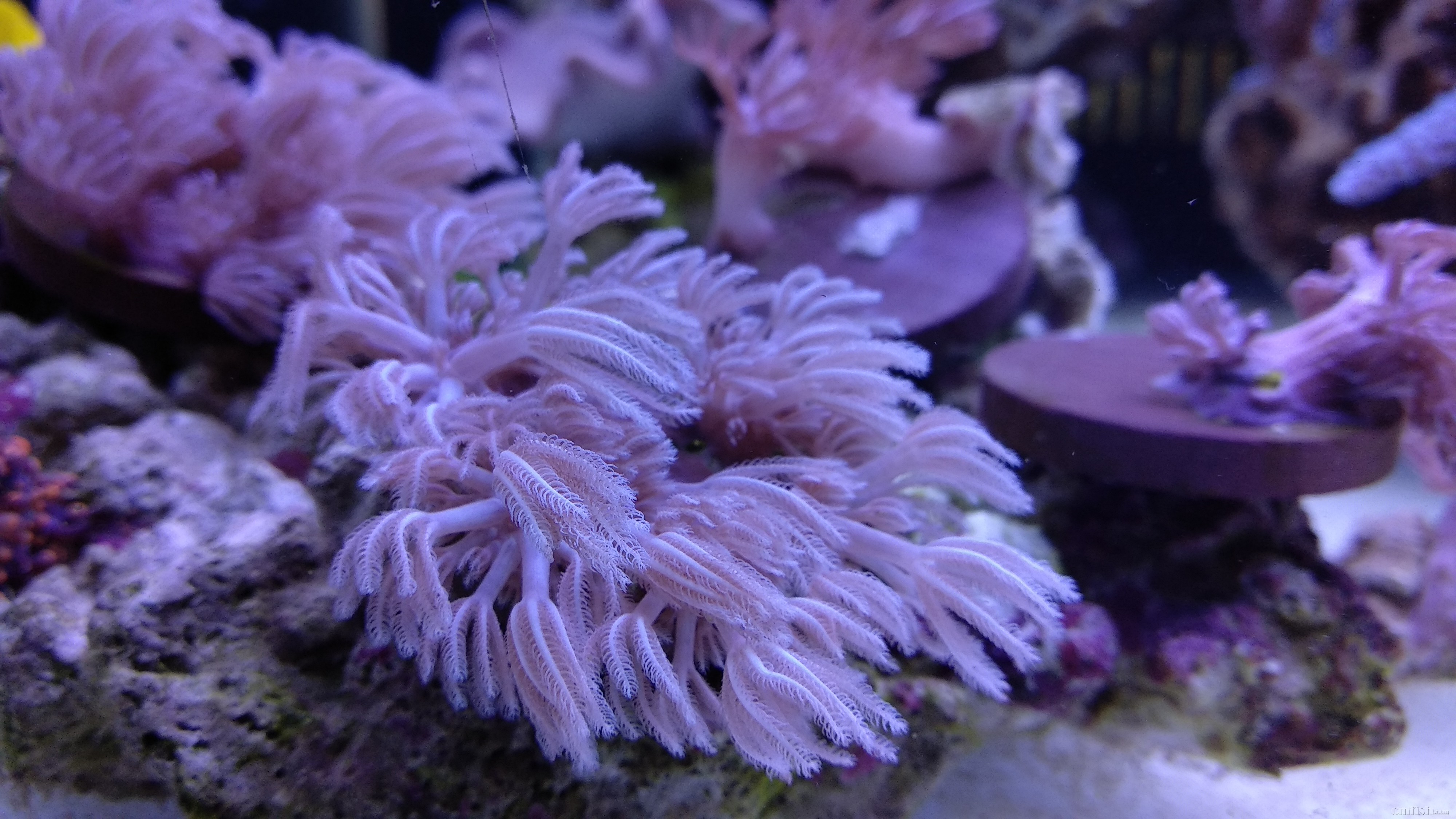 替朋友出售些闪千手