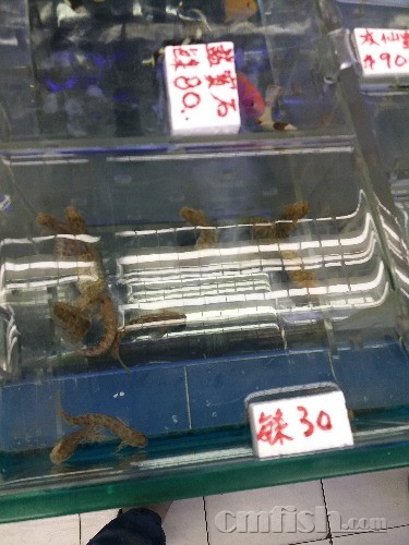 20181001_202821.jpg
