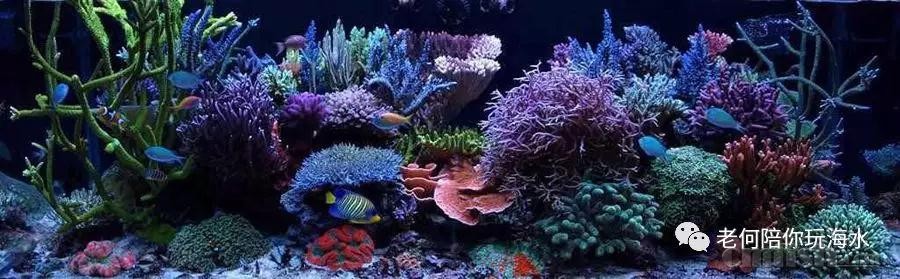 ΢��ͼƬ_20181010154946.jpg