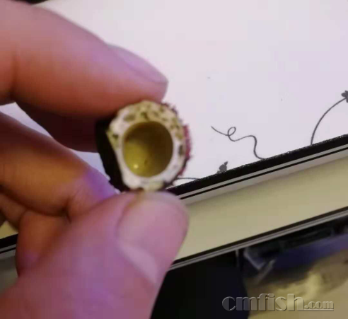 �������Ĺ��ӵײ�