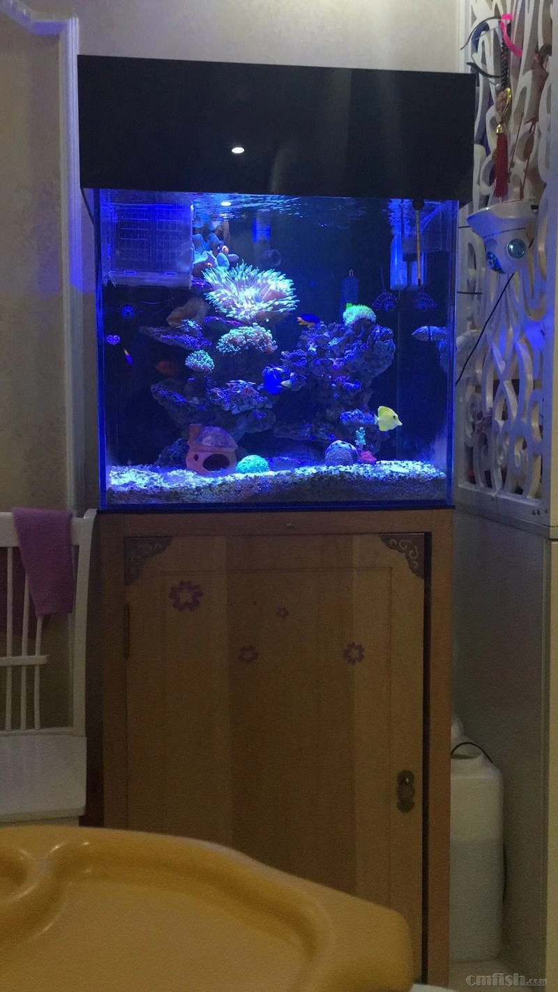 ΢��ͼƬ_20181023174451.jpg