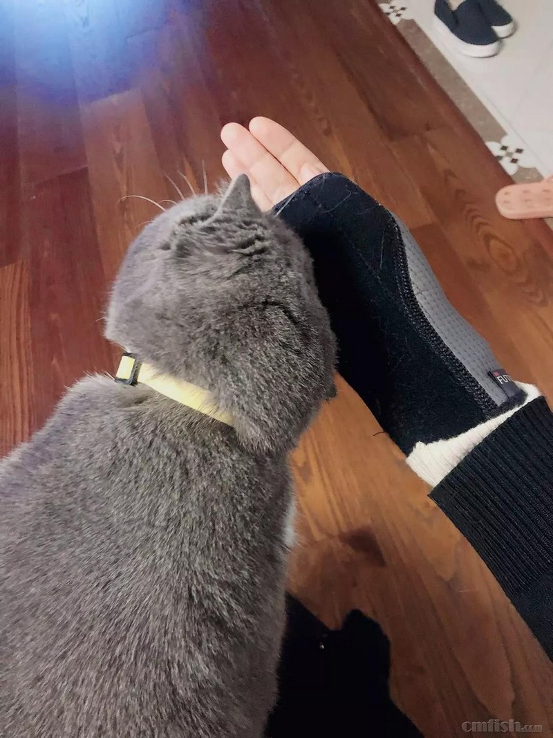 ΢��ͼƬ_20181024100250.jpg