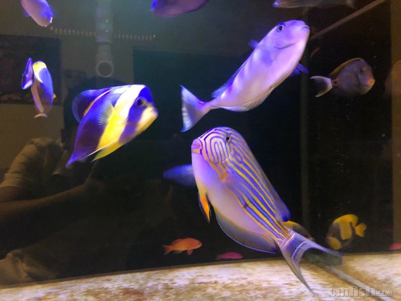 广州出20-22纹吊 - 广东地区 - cmf海友论坛 - powered by discuz!